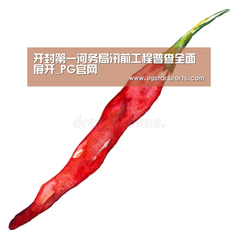 开封第一河务局汛前工程普查全面展开_PG官网(图3) PG首页