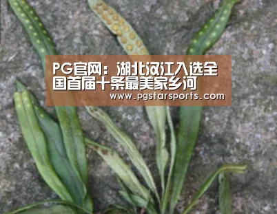 PG官网:湖北汉江入选全国首届十条最美家乡河(图3) PG首页
