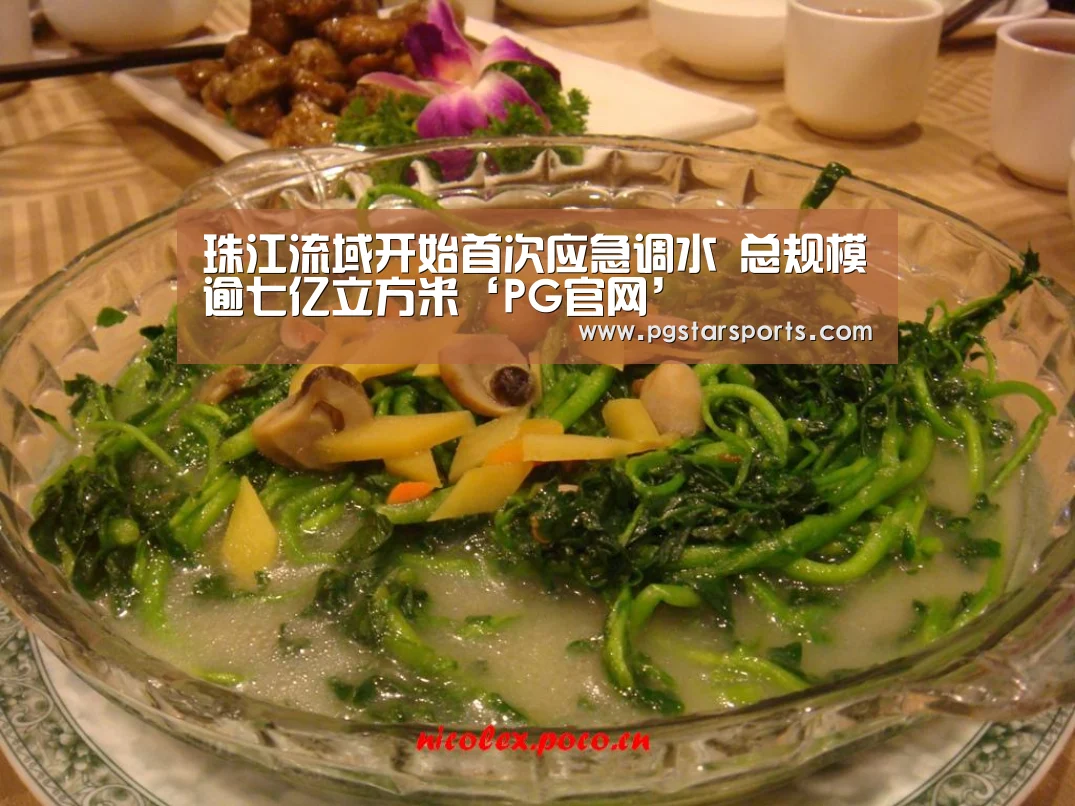 PG官网