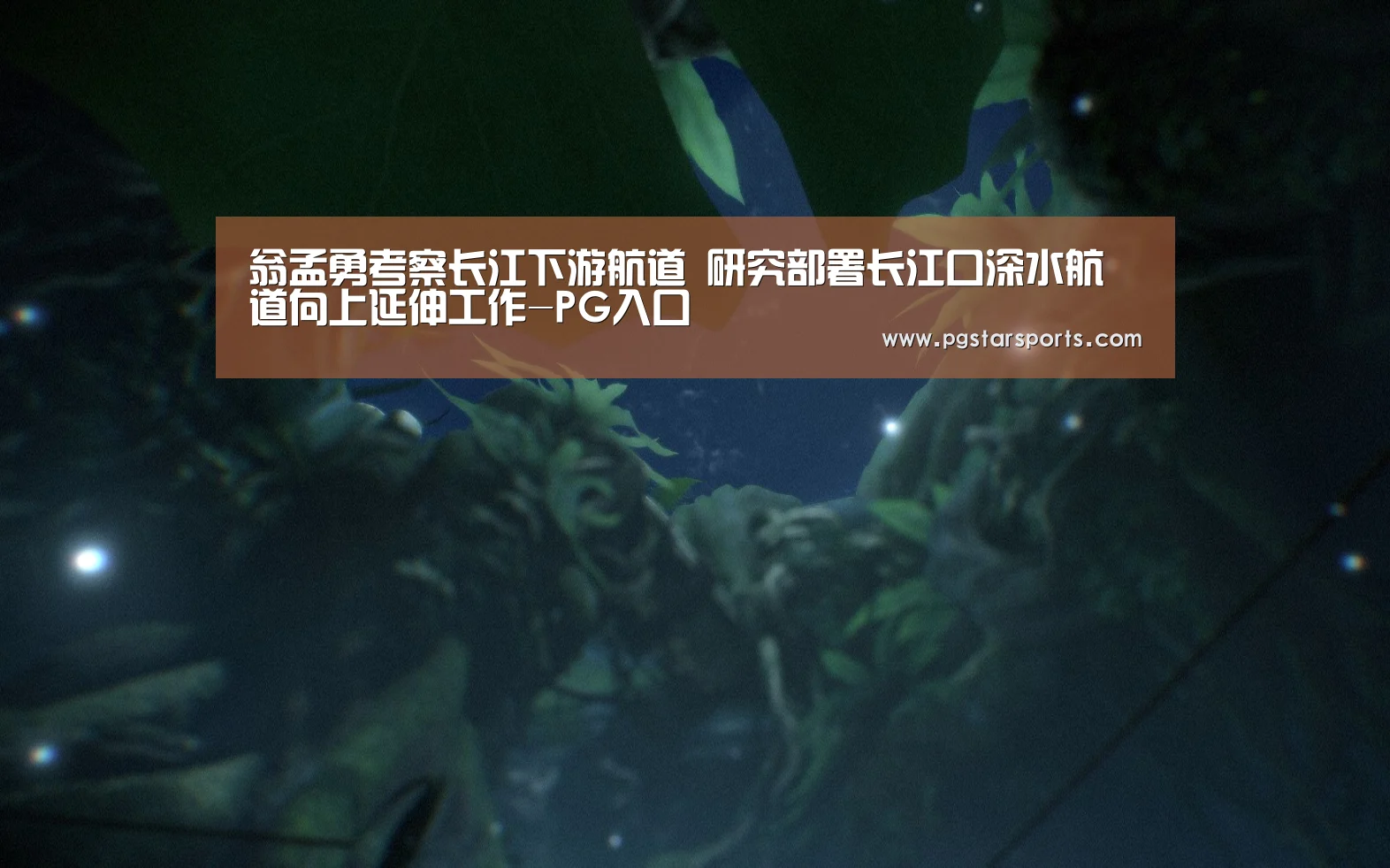 翁孟勇考察长江下游航道 研究部署长江口深水航道向上延伸工作-PG入口(图2) PG首页