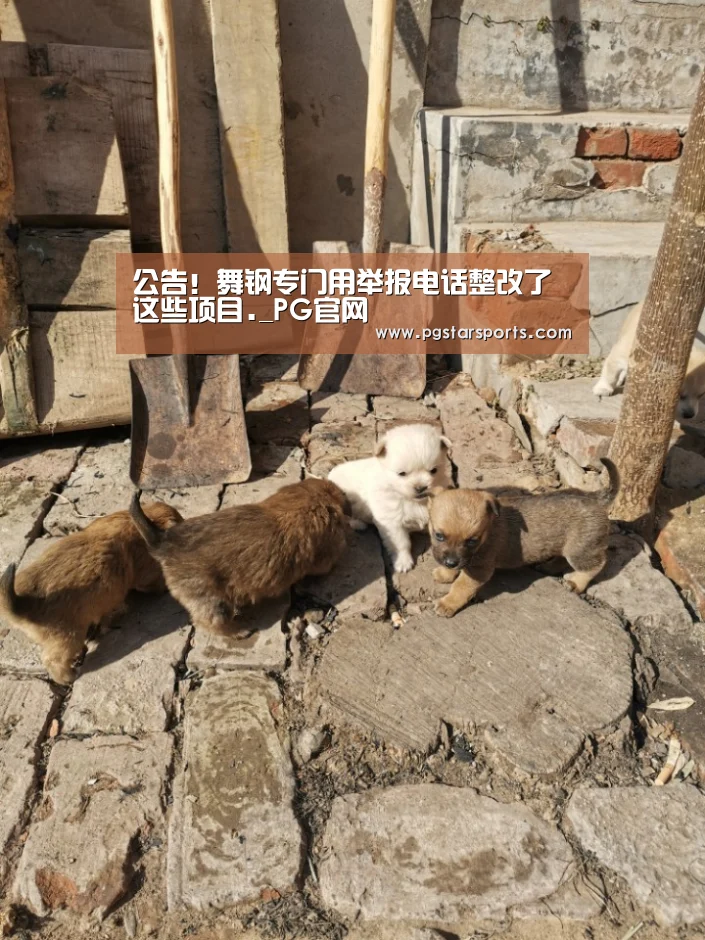 PG官网