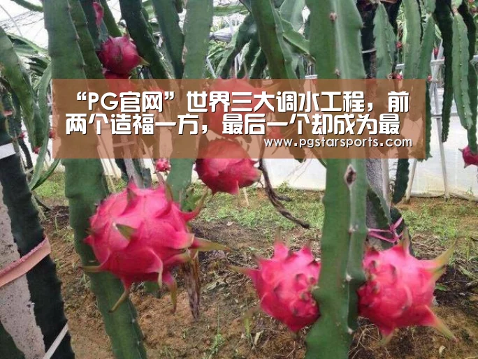 “PG官网”世界三大调水工程,前两个造福一方,最后一个却成为最大生态灾难(图3) PG电子
