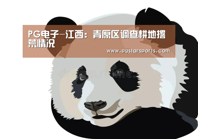 PG入口