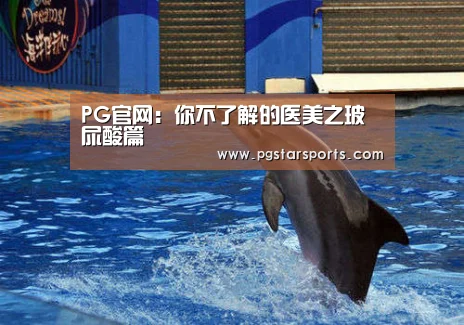 PG官网