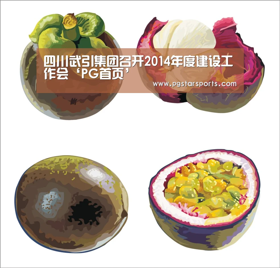 四川武引集团召开2014年度建设工作会‘PG首页’(图2) PG入口