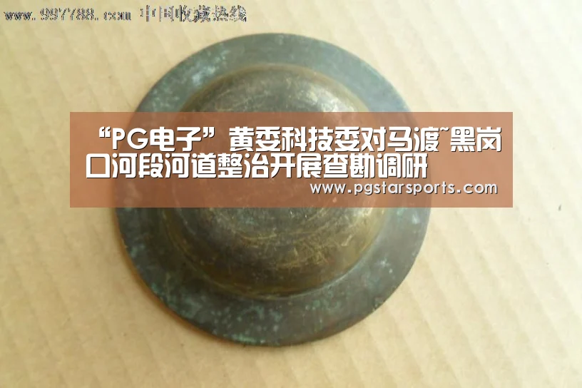 “PG电子”黄委科技委对马渡~黑岗口河段河道整治开展查勘调研(图4) PG官网