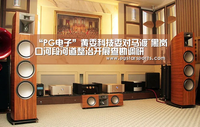 “PG电子”黄委科技委对马渡~黑岗口河段河道整治开展查勘调研(图3) PG首页